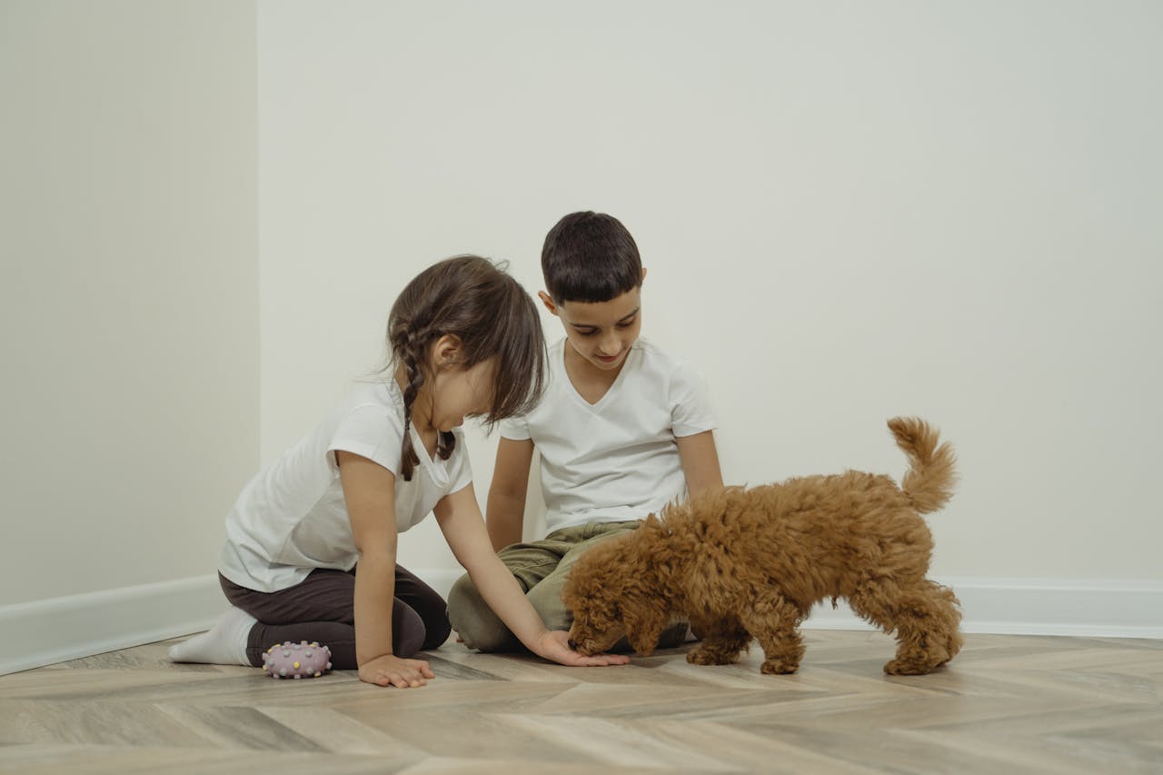 Two children bonding with a fluffy poodle puppy indoors, creating a warm family moment.